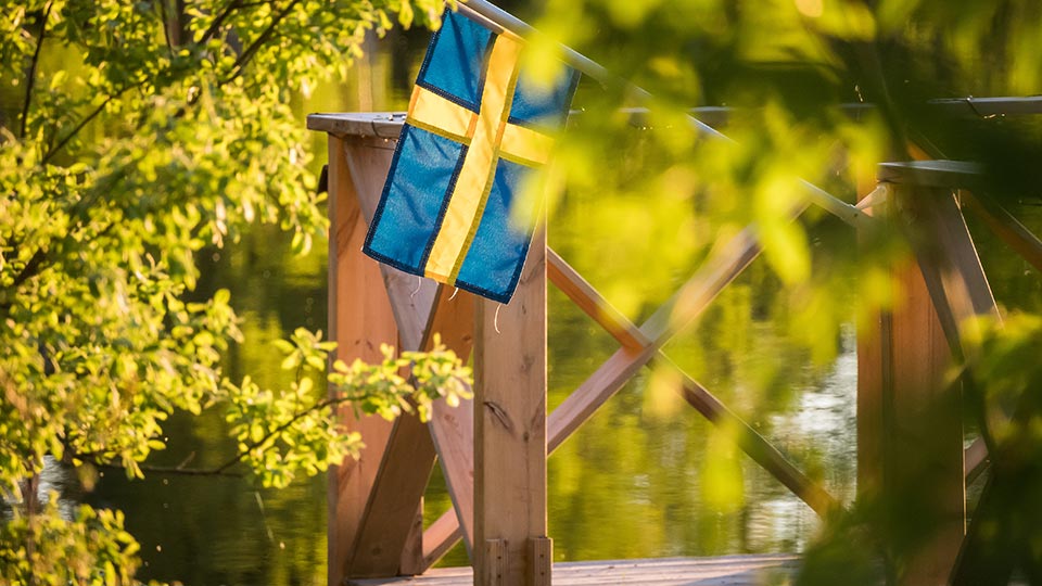 Flag 2 About Us OPSIS